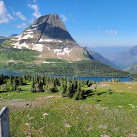 Better dead than red (宁死不红) (@jiashidu) 's Twitter Profile Photo