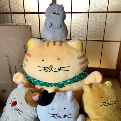 旧アカウントが機種変と共に戻れなくなりました(´༎ຶོρ༎ຶོ`) 再フォローさせて頂いております。SKジャパン様のでぶねこ大好き。推しはグレートラのスコティッシュです！！