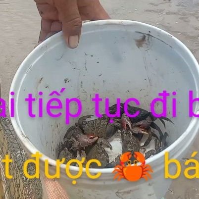 ThiBlog1's profile picture. A thi Vĩnh Châu blog1