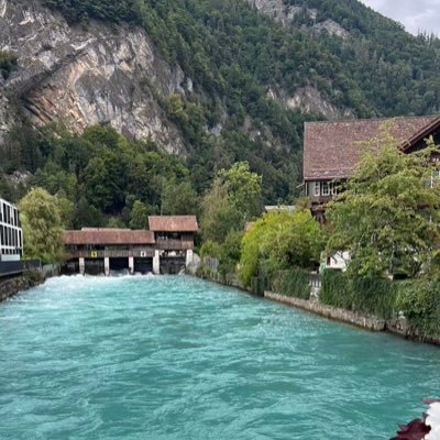 smq79559071's profile picture. 