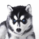 Patrick Jason Abad - @PJABAD9021 - Twitter