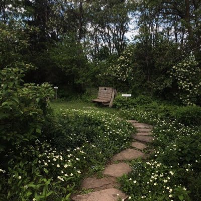 Garygreats's profile picture. Be brave