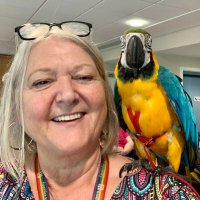 ๐๐Shelly Gibson (@shellyriv1) 's Twitter Profile Photo ๐๐Shelly Gibson (@shellyriv1) 's Twitter Profile Photo