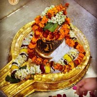 Rudra (@sanjayp87635447) 's Twitter Profile Photo