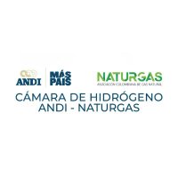 Cámara de Hidrógeno ANDI-NATURGAS(@HidrogenoAndNat) 's Twitter Profile Photo