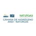 Cámara de Hidrógeno ANDI-NATURGAS (@HidrogenoAndNat) Twitter profile photo