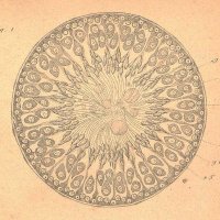 The Geyer Lab (@labgeyer) 's Twitter Profile