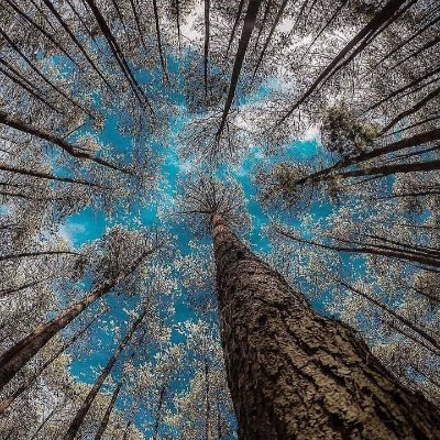 Dollargirlie's profile picture. I make money moves