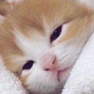 iseoyun61750668's profile picture. .