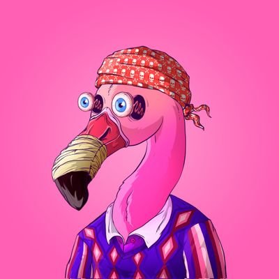 Pom_Echo's profile picture. follow back