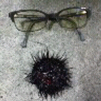 Daisuke&Kana (@kalahana7) 's Twitter Profile Photo