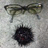 kalahana7's profile image