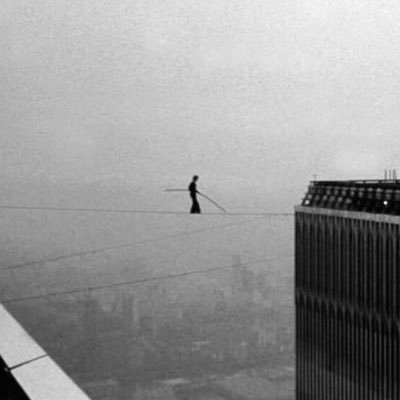 TheStoicApe's profile picture. 