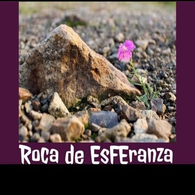 RocadeEsFEranza Profile Picture
