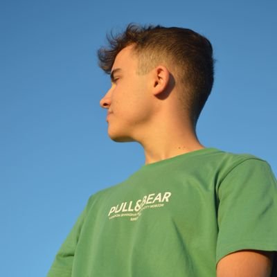 palboelcalvo Profile Picture