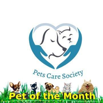 To provide Quality and Low Cost Spayed / Neuter Services to communities and Doctors of Veterinary Medicine closer to you.