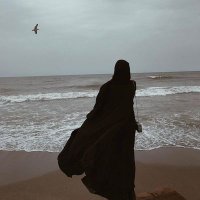 میحسون_ہاشمی 💫 (@myhsoonhashmi) 's Twitter Profile