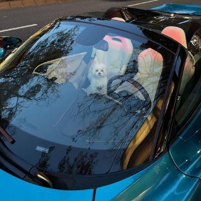 sagjk14ht's profile picture. I love going on vacation and camping