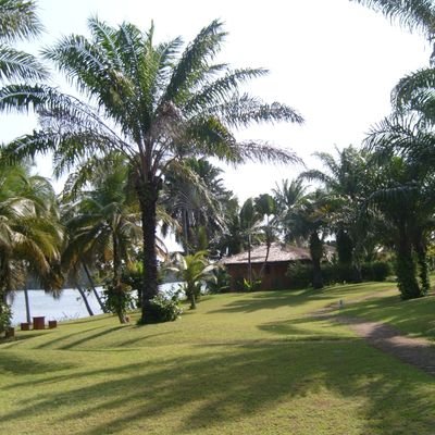 Safesacramental's profile picture. 