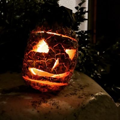 BMedent's profile picture. 