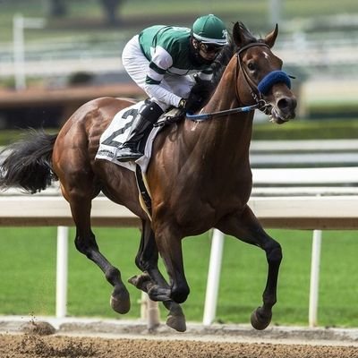 Cuenta Especializada en Información de Carreras de Caballo más de 40 años de experiencia.
Picks | Tendencias | Noticias | Pronósticos via WhatsApp 🐴
