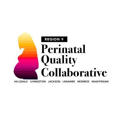 The Region 9 Perinatal Quality Collaborative aligns with strategies to address disparities in birth outcomes and health inequities in Michigan.