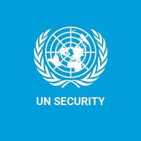UN Security(@UNDSS) 's Twitter Profile Photo