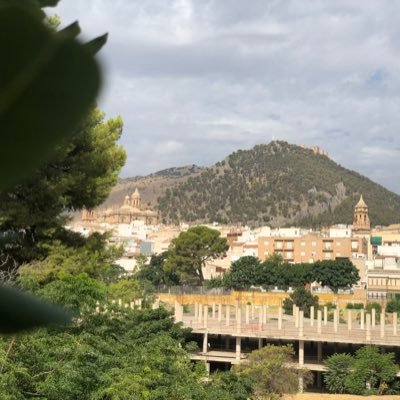 antonangelmir's profile picture. 