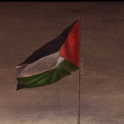 🇩🇪🇱🇧 grenzenlose Solidarität mit 🇵🇸! BA PoWi/GE/Philo. #Gaza #ShireenAbuAkleh #Palästina From the river to the sea, Palestine will be free. ✌🏻 ✌🏻✌🏻