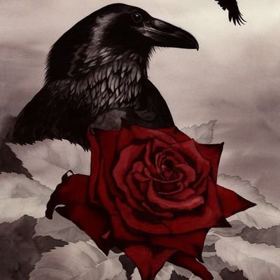 TyrellRose15's profile picture. 