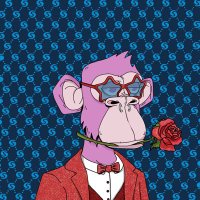 Syscoin Apes (Sold Out) (@syscoinapes) 's Twitter Profile Photo