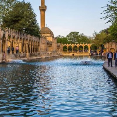 Memet00417831's profile picture. Jigolo zevk almak isteyen bekliyorum