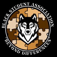 Beyond Differences (@bsa_srsu) 's Twitter Profile