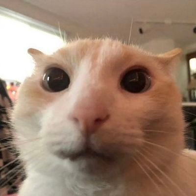 gio_vann124's profile picture. personal account, working on an art account
mainly retweets, I don't post :(
https://t.co/EUrlAykbYm other socials & info