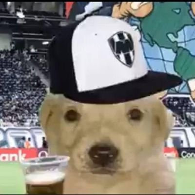 gera_rv's profile picture. 
