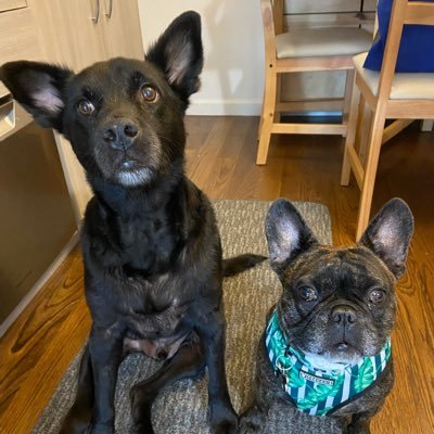 I_Be_Fine's profile picture. 