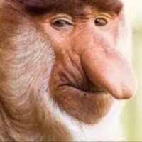 Bigger Nose Mc… (@bigger_nose_mc_) 's Twitter Profile