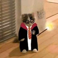 Marisofi0809 (@marisofi08091) 's Twitter Profile
