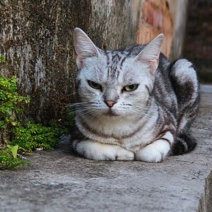 jerry76349782's profile picture. Fullstack developer, individual