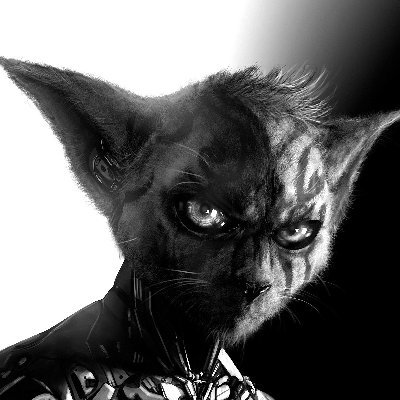 blackhatcats Profile Picture