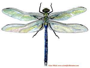 LOLADAMS22's profile picture. 