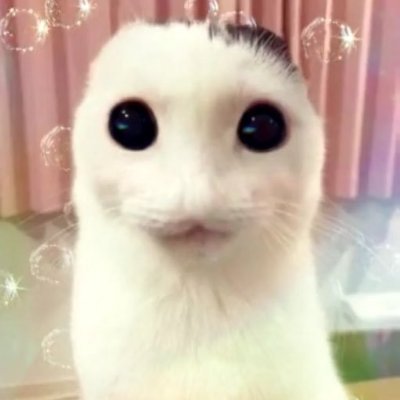 ramu🌻さんのプロフィール画像