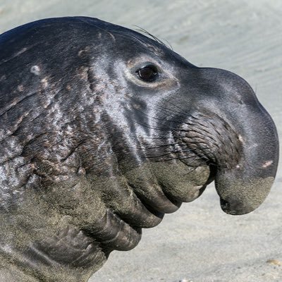 eWRT1N45JgzP3mu's profile picture. 