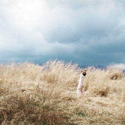 towadubz's profile picture. 