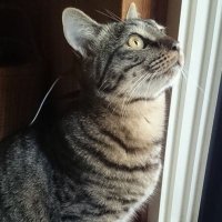 まめ (@kmamehama) 's Twitter Profile