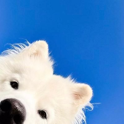 EvelynWalai's profile picture. ‘Youth is wasted on the young, before you know, it’s come and gone,…too soon’