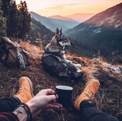 mhmdreza_astz's profile picture. (سخن نگفته ای که از پس نگاهی پیداست)
هویت من✌
🏳️‍🌈🏳️‍🌈🏳️‍🌈🏳️‍🌈

یک‌ انسان