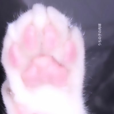 ささんのプロフィール画像