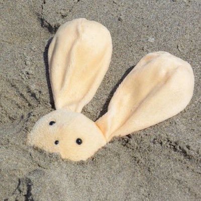 💈부자두더쥐파이✂️さんのプロフィール画像