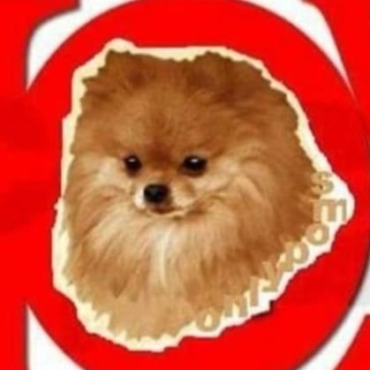 SOY... FUÍ...Y SERÉ...
Amo los Pomeranian 
y perros en general
Dog l♡ver
MEGA FAN DE PEPE AGUILAR 😎